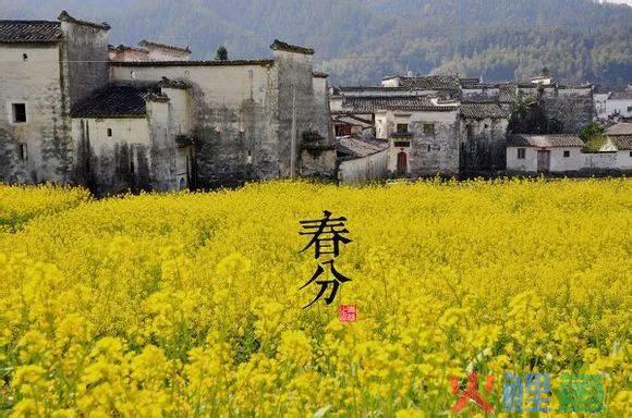 节气营销，90%都在浪费甲方的钱！