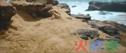 蕉下的《惊蛰令》，惊着我了