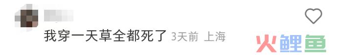 张颂文的“草”被设计成鞋？太费“香港脚”了