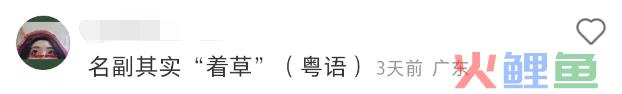 张颂文的“草”被设计成鞋？太费“香港脚”了