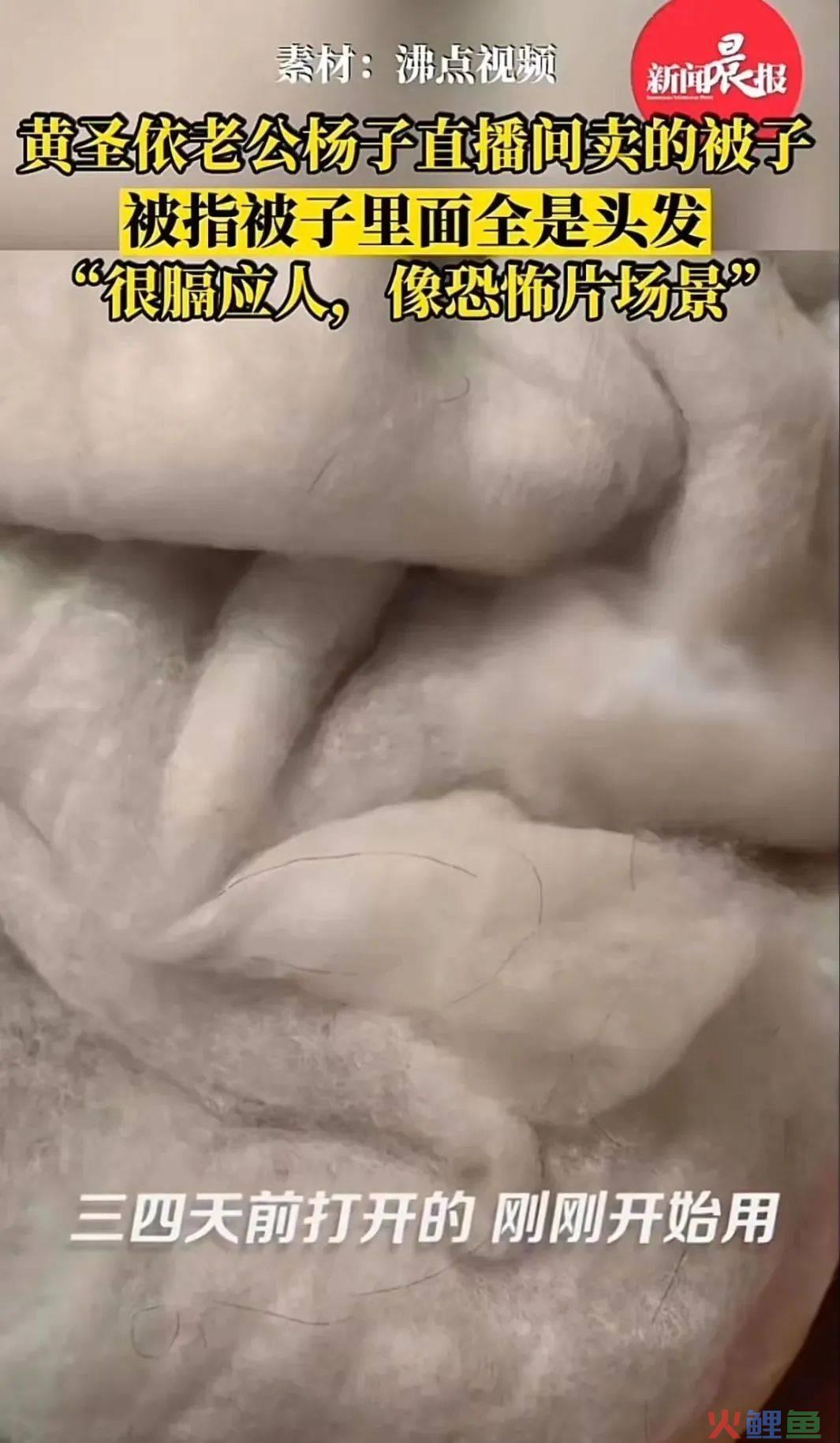一根头发，“绊翻”杨子