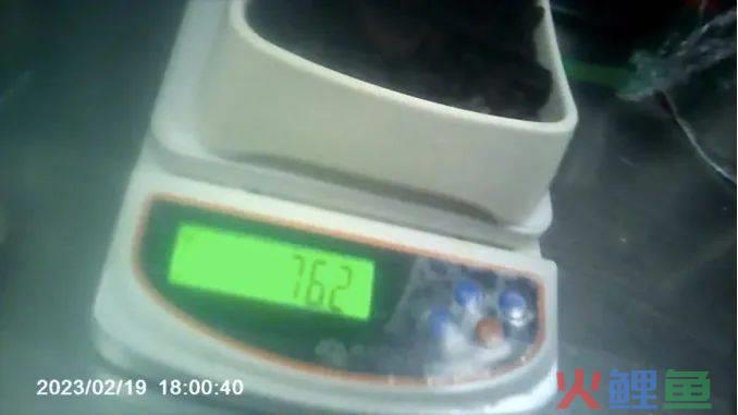 “烤鱼界头牌”半天妖,作大妖!