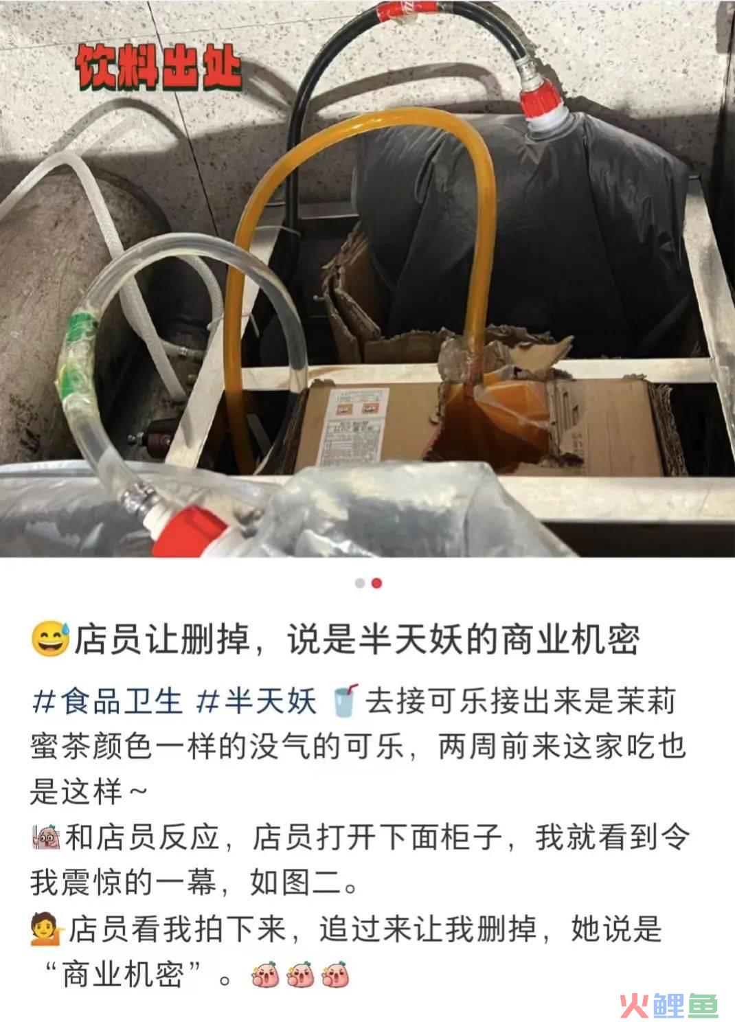 “烤鱼界头牌”半天妖,作大妖!