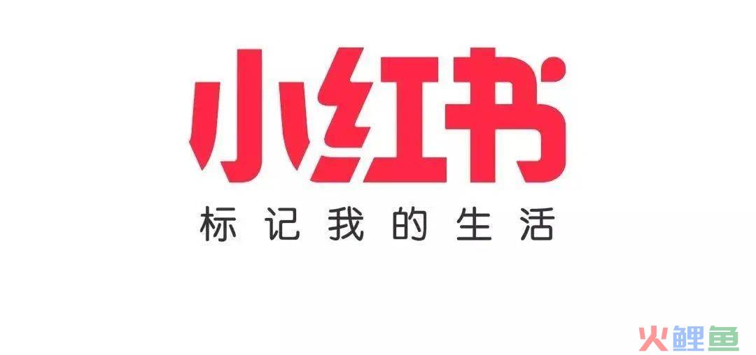 沪上阿姨的旗袍开叉到底高不高？网友炸锅了