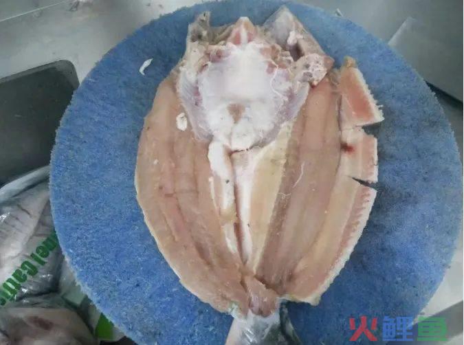 “烤鱼界头牌”半天妖,作大妖!