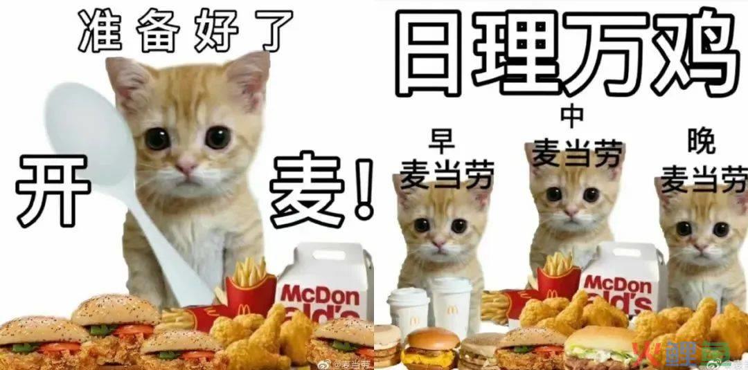 “麦门文学”火了，越看越上头
