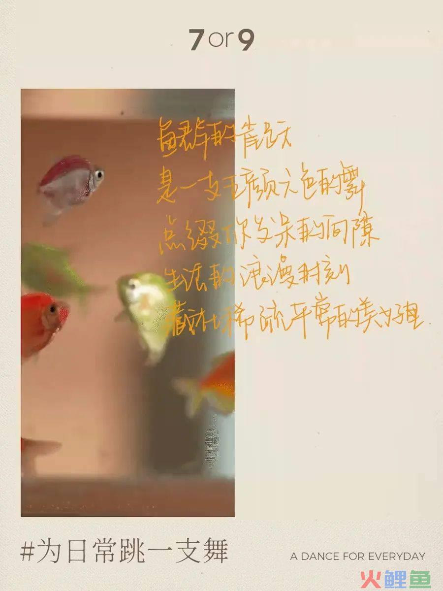 7or9 《请你跳一支舞》,被浪漫到了