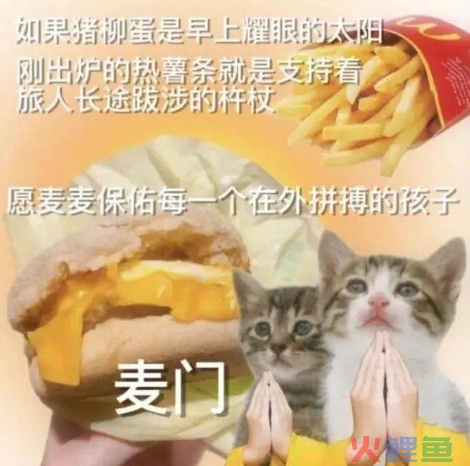 “麦门文学”火了，越看越上头