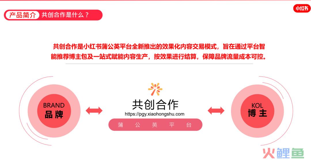 如何筛选小红书优质博主？零基础博主投放攻略V1.0