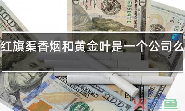 河南中烟金叶营销平台，红旗渠香烟和黄金叶是一个公司么