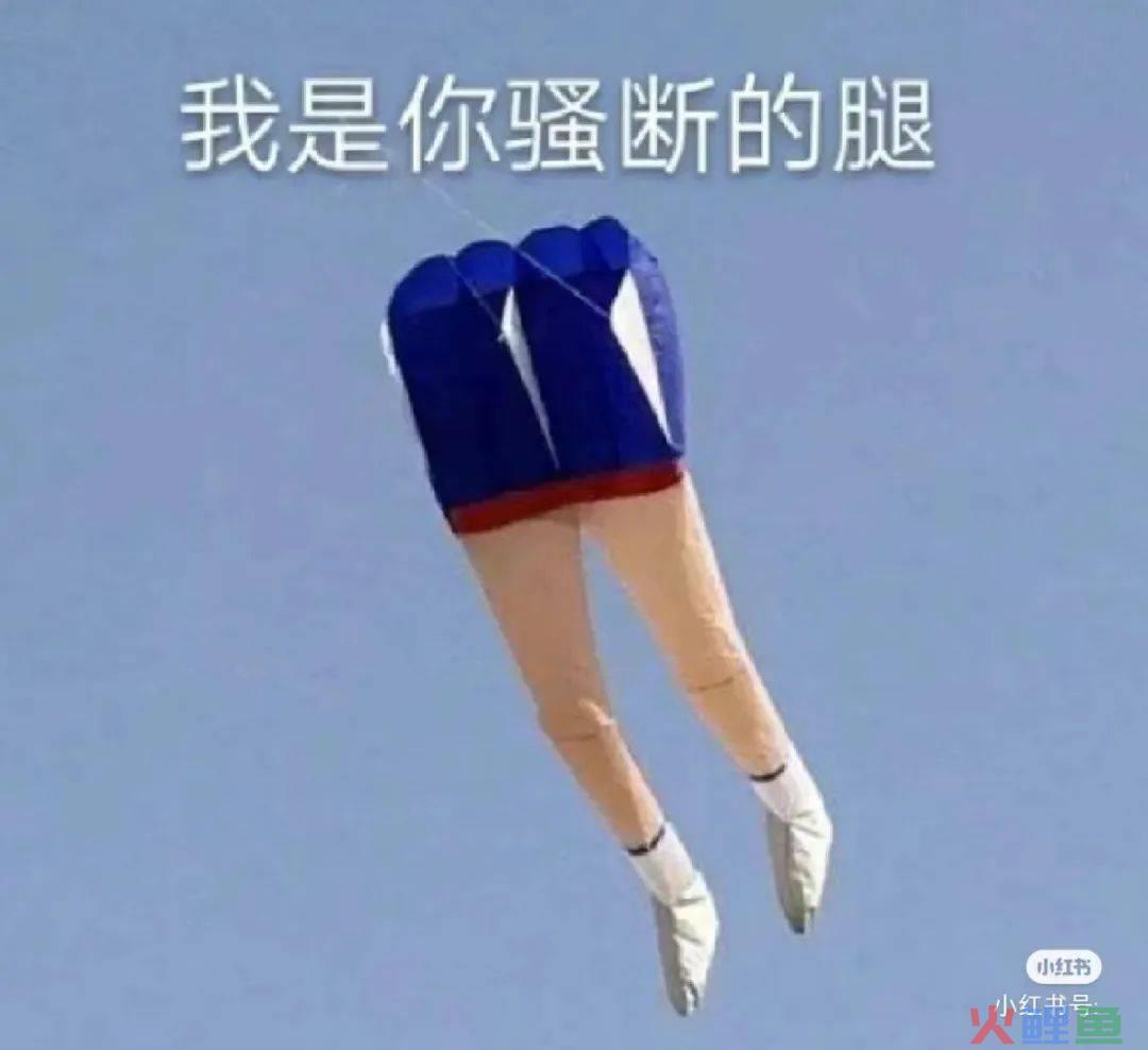 除了秦始皇变形计，雪王和天猫也被潍坊放了风筝