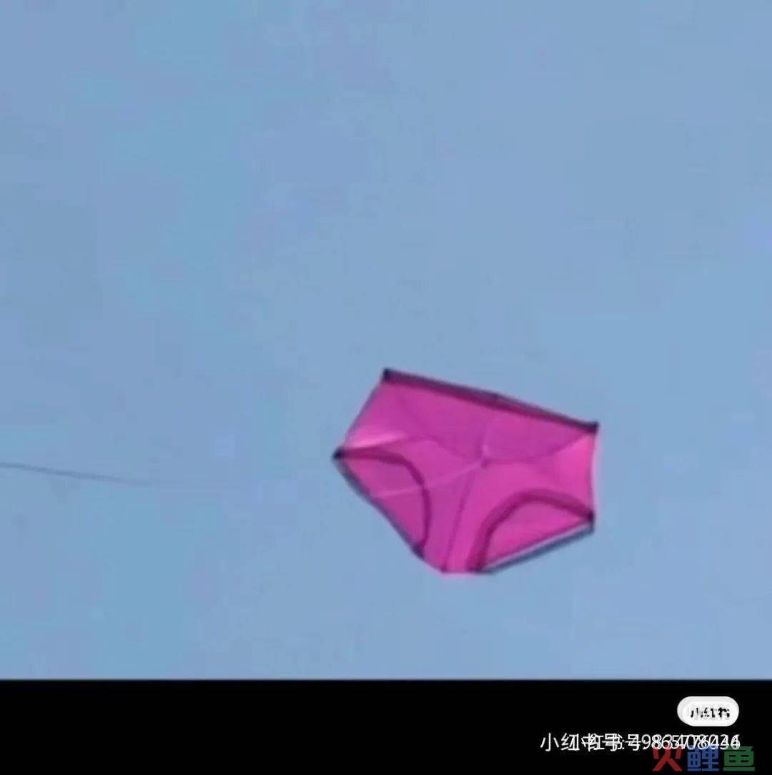 除了秦始皇变形计，雪王和天猫也被潍坊放了风筝