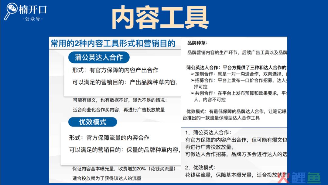 如何制定付费流量的投放指标?提高小红书投放效率的3大付费工具及应用场景!