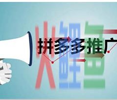 
                            拼多多怎么做好推广 技巧有哪些                        