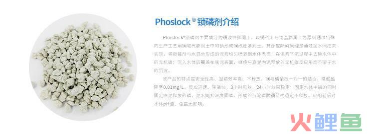 营销型网站与传统网站_企业营销型网站策划_营销型企业网站诊断