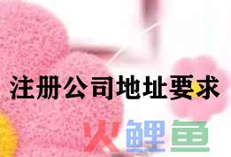 注册公司地址要求