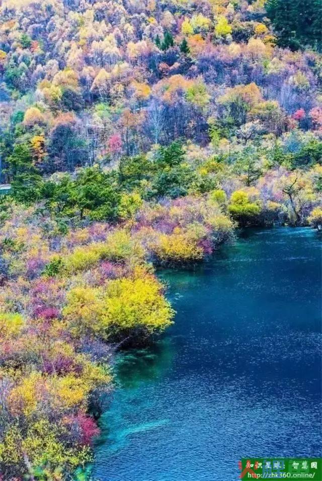 营销管理层次需要_管理幅度和管理层次_管理层次和管理幅度