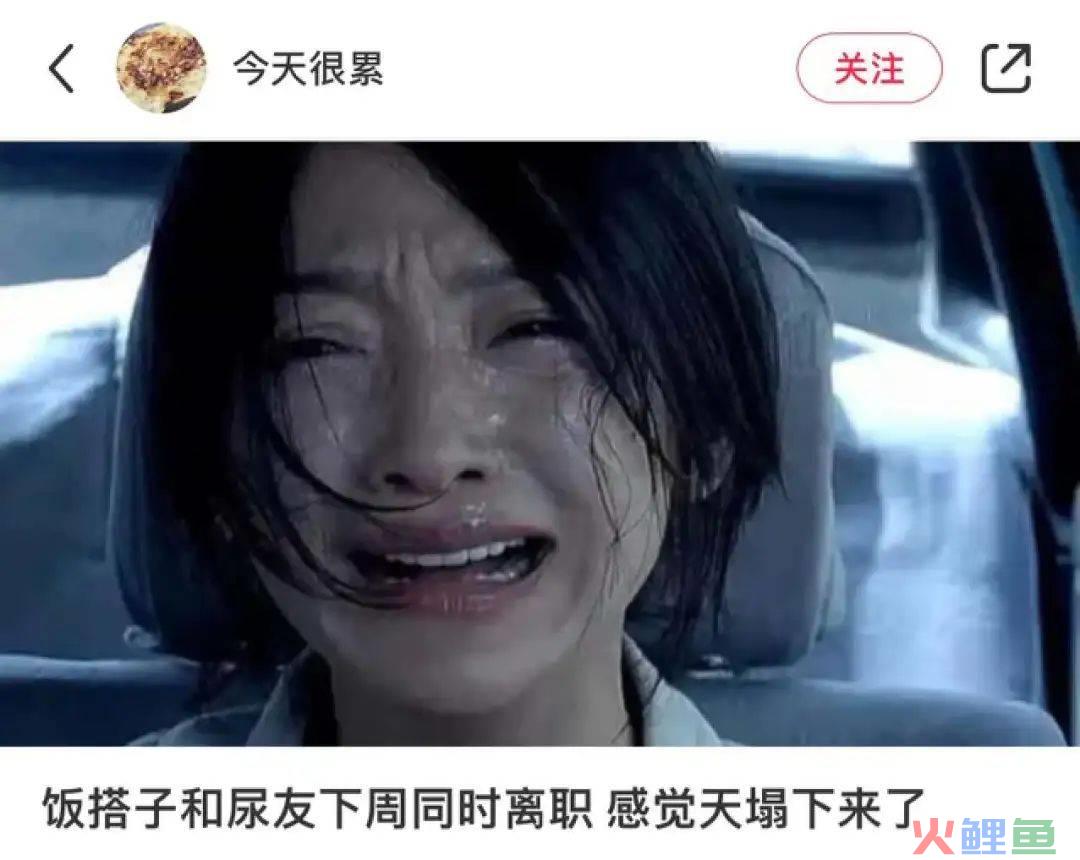 这届年轻人可以不谈恋爱，但必须要找搭子