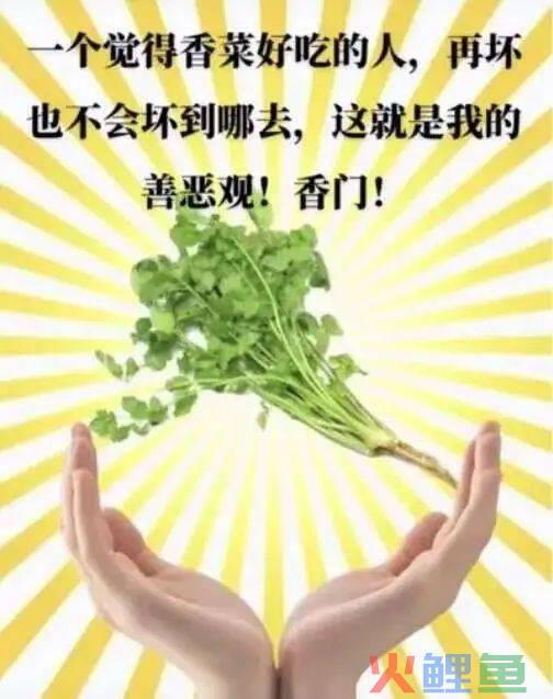这届年轻人可以不谈恋爱，但必须要找搭子