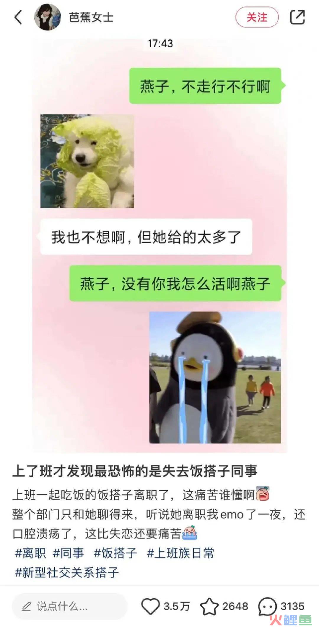 这届年轻人可以不谈恋爱，但必须要找搭子