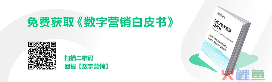 2022数字营销白皮书