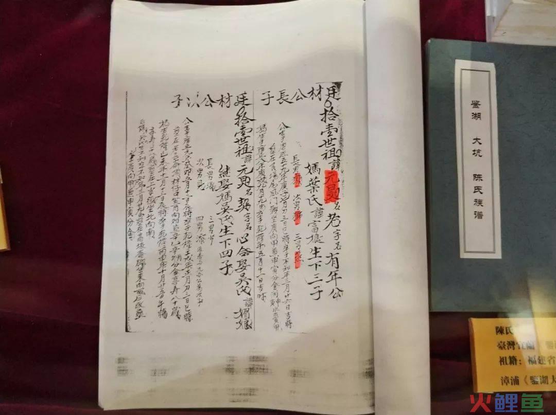 海峡论坛开幕_海峡两岸民间交流(涂岭)论坛6月6日泉港盛大开幕_泉港涂岭有什么景区