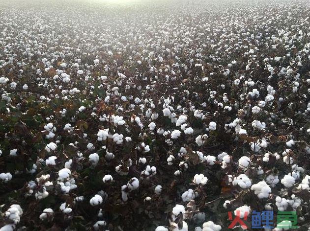 深圳代理记账收费标准为什么会存在区别？