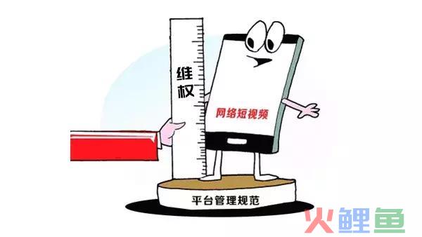 深圳记账的收费标准是什么？