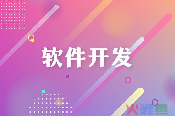一般纳税人投标的理由恰恰是这些优势？