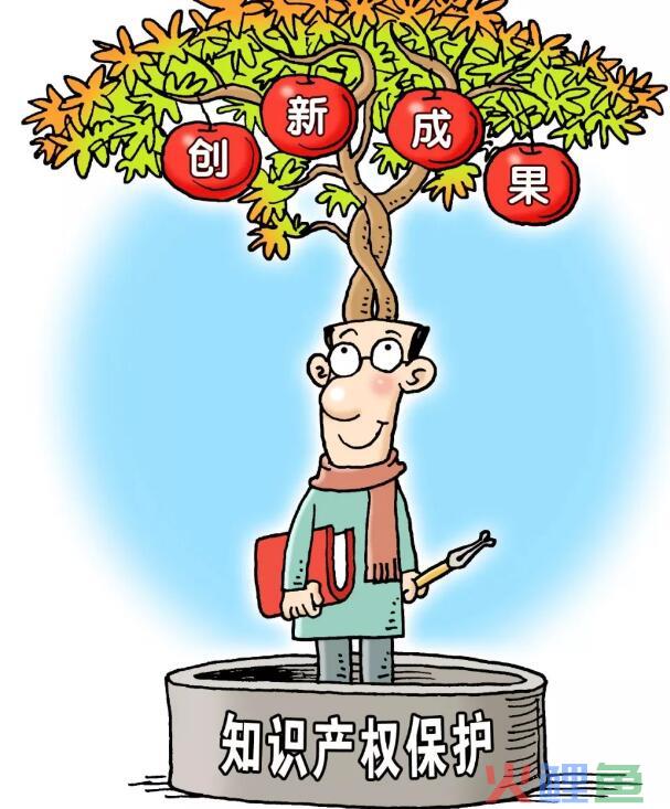 商标查询的具体内容是什么？