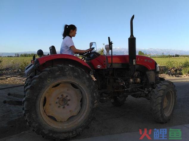 如何注册国际商标？需要哪些步骤？