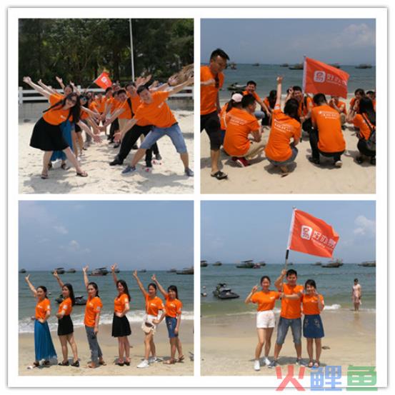 为什么有些公司营业额高但净利润低？