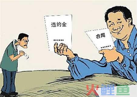 3月1日起不能采集个人采集码吗？要注册个体户才能收钱吗？
