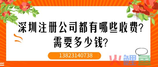 在深圳注册公司后需要注意哪些税务问题？