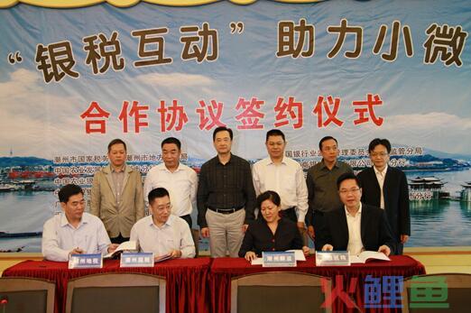 深圳的代理记账有技术专业水准吗？