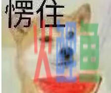 深圳报税做账要准备什么资料