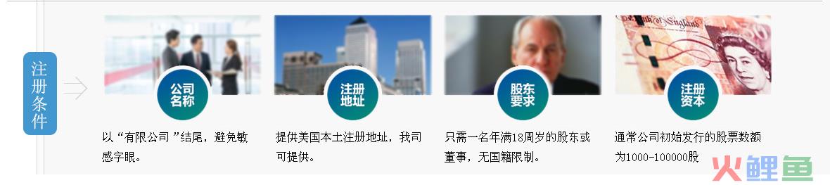 外资公司注销所需材料