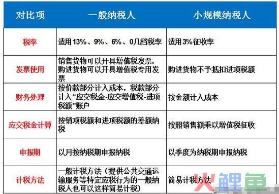 小规模代理记账一年
