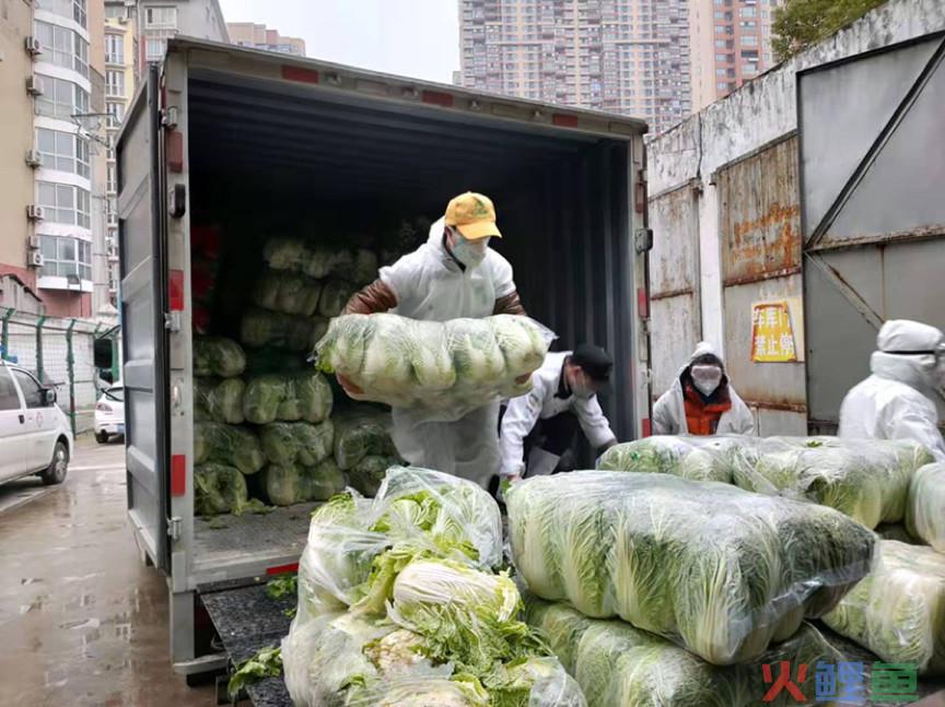 电商“战疫”的底层逻辑：比机遇更重要的是责任