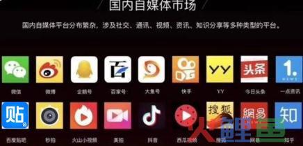 到底什么平台最适合自媒体人？