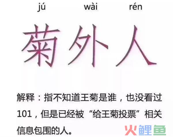 "菊外人"这么火别说你不知道 爆火的背后原因是什么？