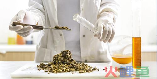 失落的个护品牌，为何难乘新国货的东风？