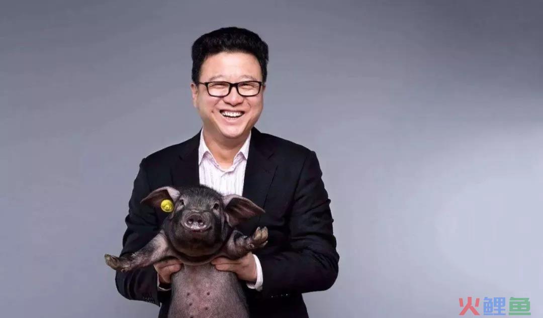 互联网养猪10年，网易们改变了什么？