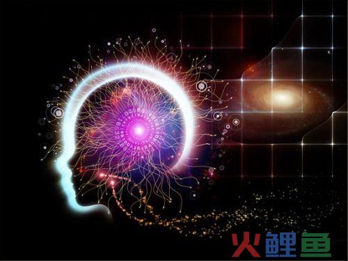 跨学科看认知升级这件事（上文）
