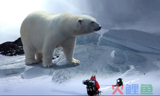 马太效应、水桶理论、零和游戏…十大科学理论在营销中的应用！
