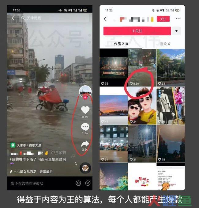 k线达人电脑版_达人 线下活动_捕鱼达人三d下凤凰攻略