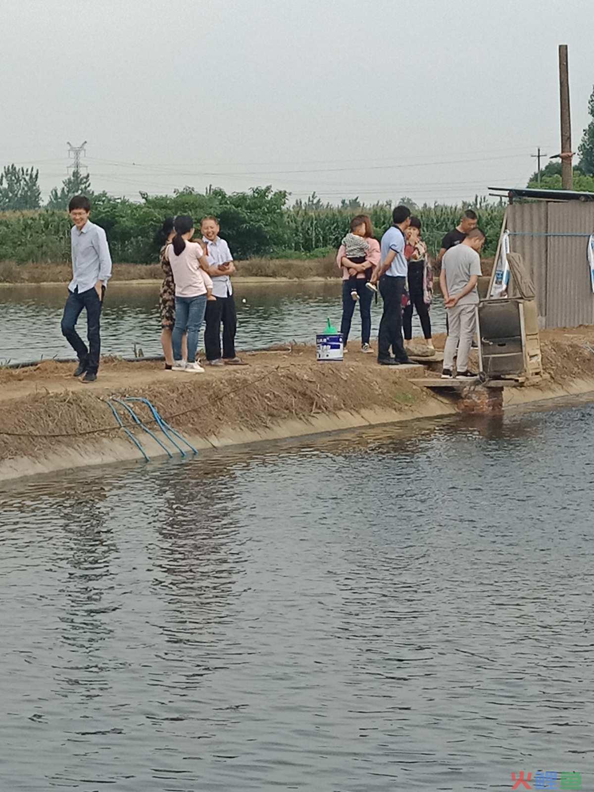 营销学的鱼塘理论_鱼塘式营销理论_鱼塘理论谁提出的