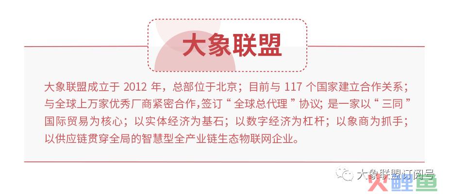 ip打造和营销实战手册_自动营销平台打造_打造营销领导团队