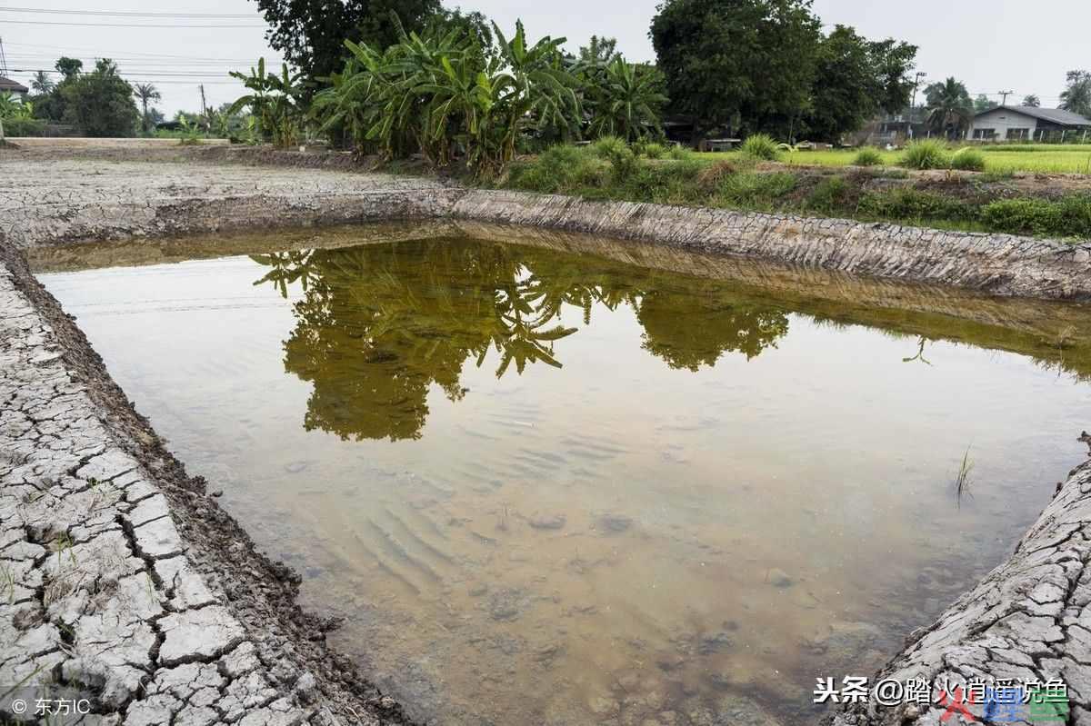 鱼塘式营销理论，营销界疯传“藏宝图”？从鱼塘理论说起！_企业