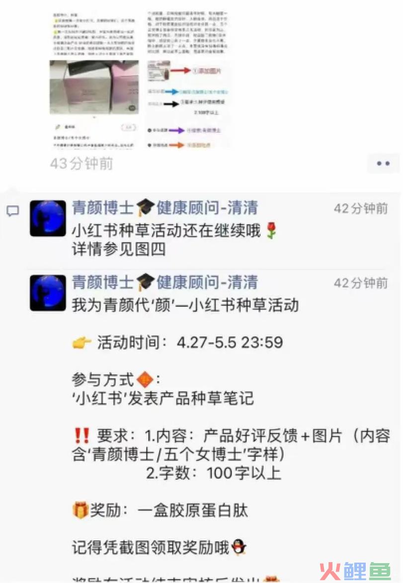 “五个女博士”收割年轻人